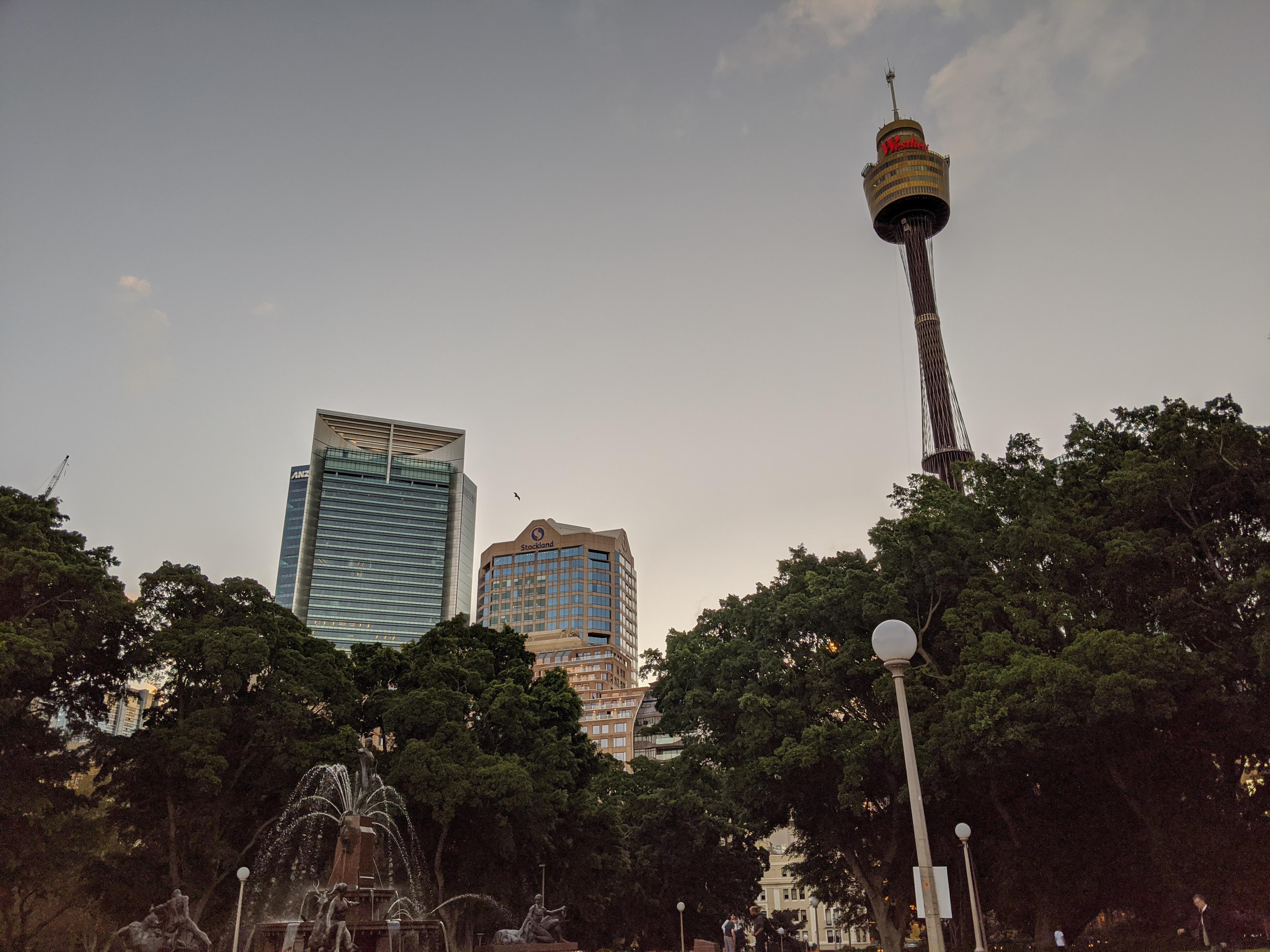 A city skyline at sunset with many trees.