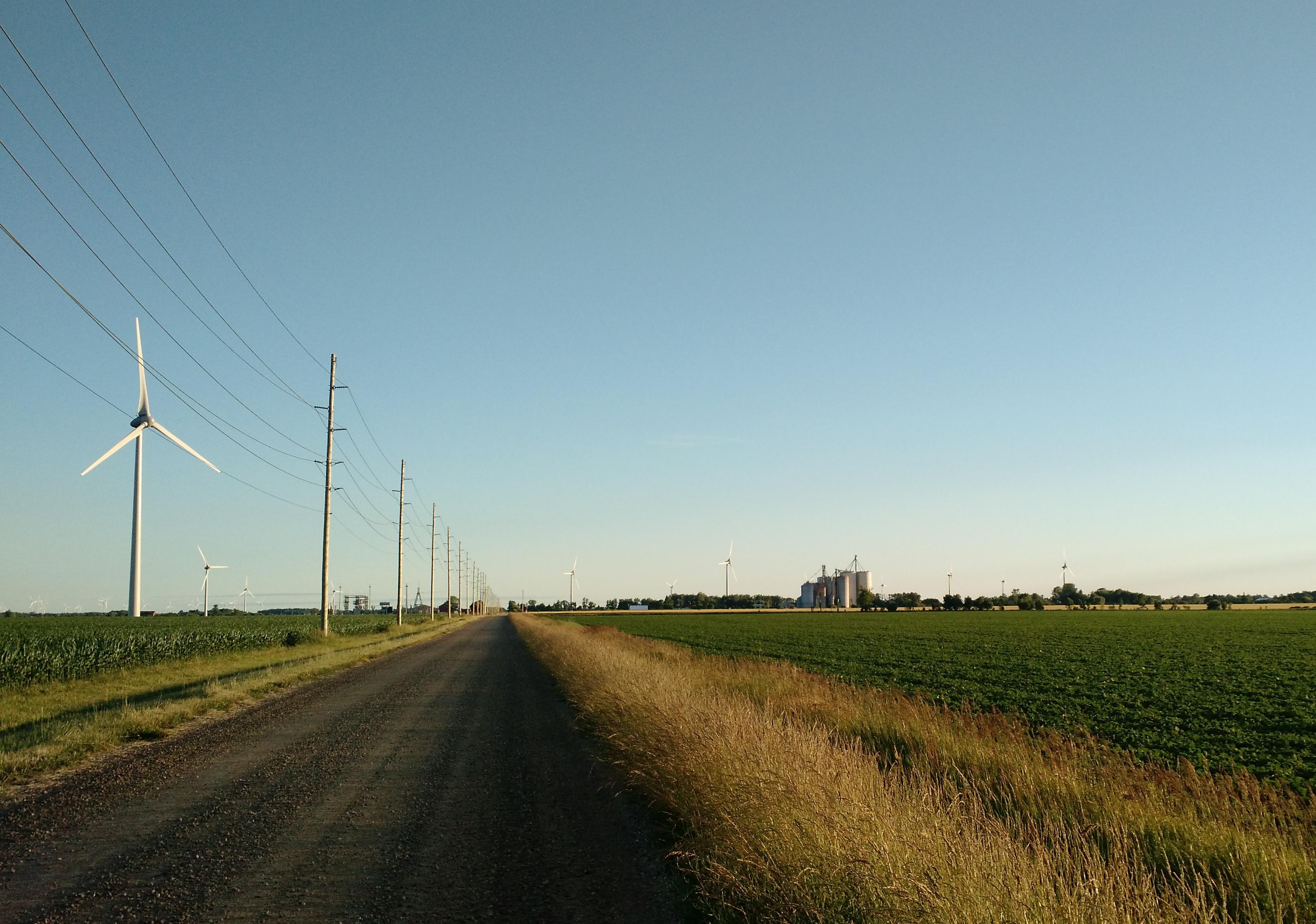 A dirt farm road with windmills.